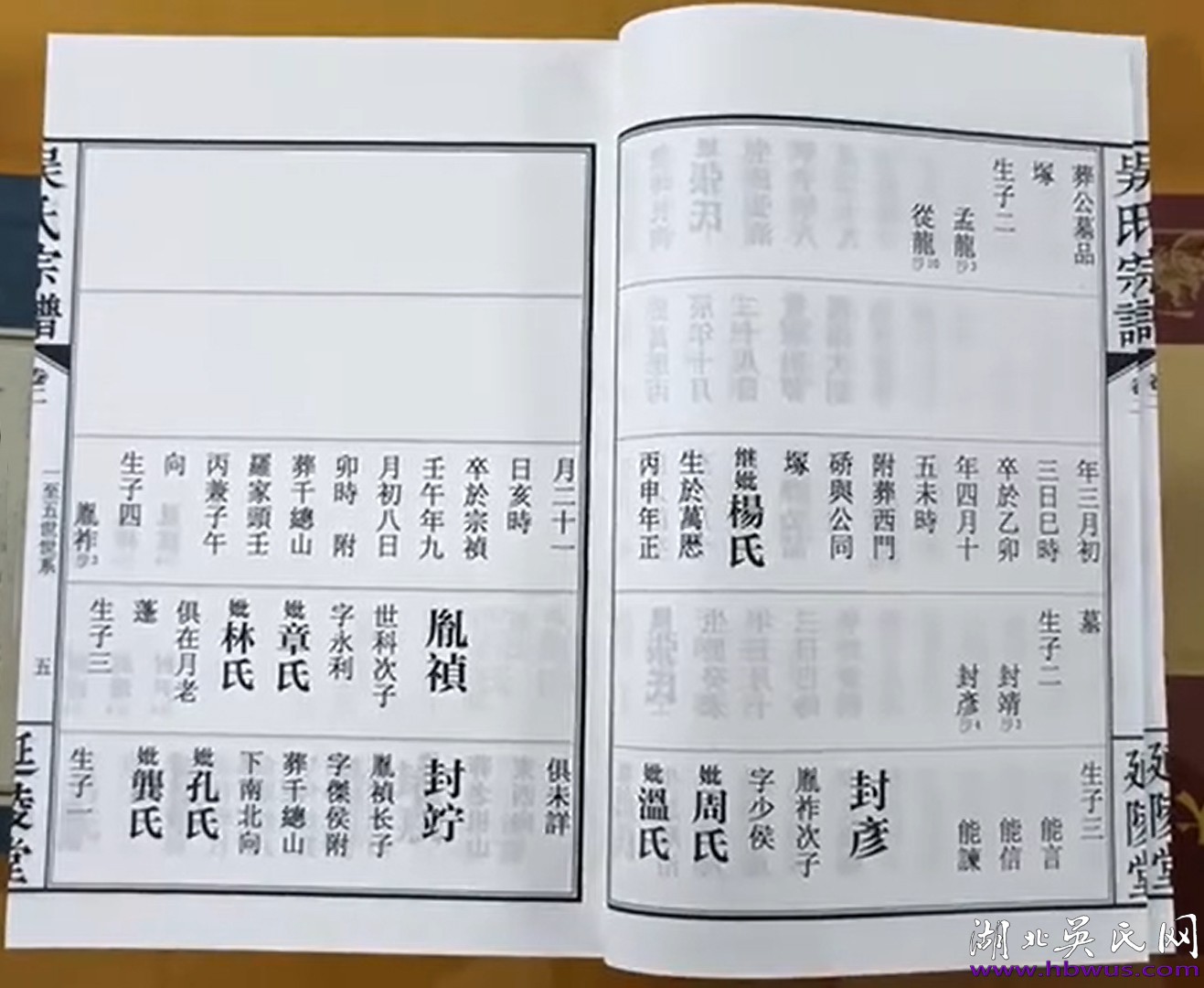 漢陽(yáng)吳氏宗譜（延陵堂）