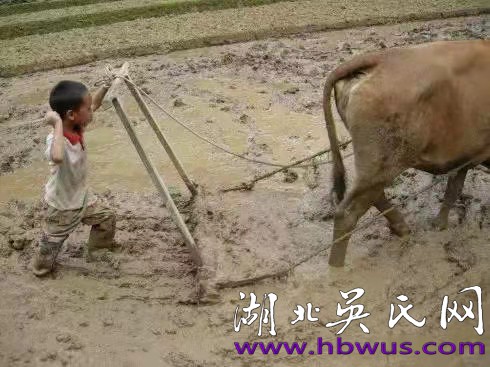 吳風(fēng)壽所見到的新中國 吳風(fēng)壽所見到的新中國