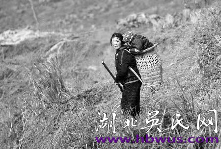 【外婆的背簍】 【外婆的背簍】