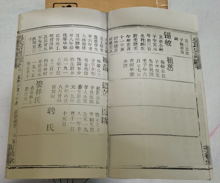 吳兆麟將軍家譜——鄂州葛店吳家畈《吳氏宗譜》