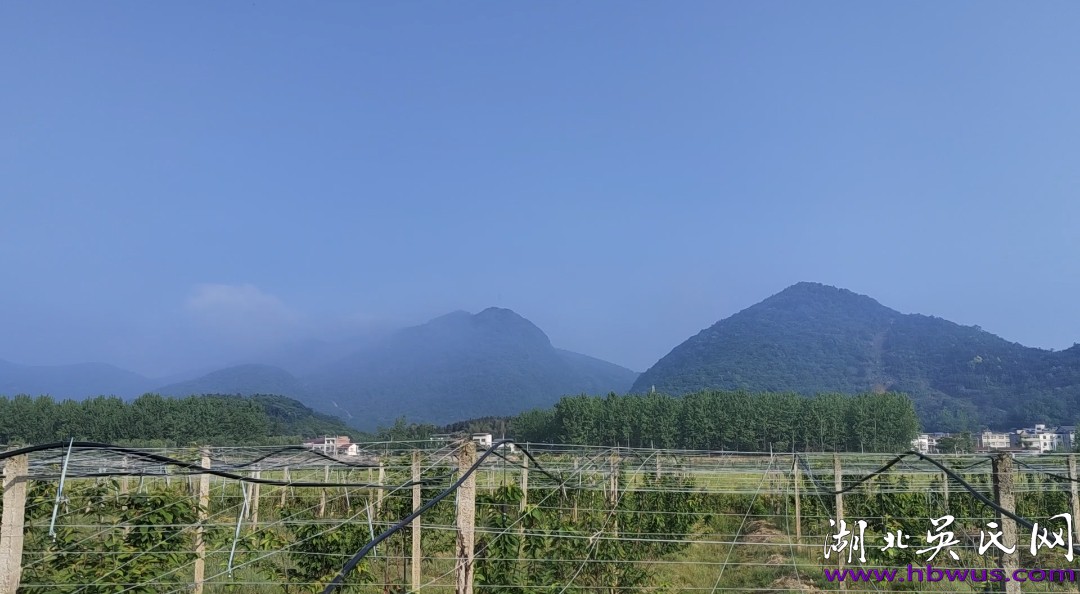 吳合林會長一行對金色莊園進(jìn)行視察調(diào)研 吳合林會長一行對金色莊園進(jìn)行視察調(diào)研