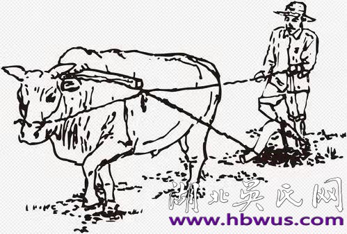 吳高煌：兒童團(tuán)長(zhǎng)、赤衛(wèi)隊(duì)長(zhǎng)、生產(chǎn)隊(duì)長(zhǎng)