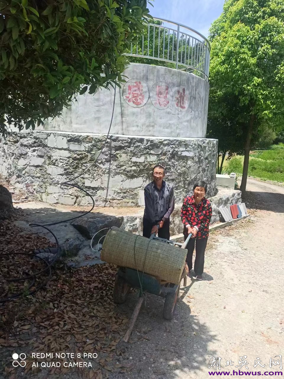 吳開芹:此心安處是吾鄉(xiāng) 吳開芹:此心安處是吾鄉(xiāng)