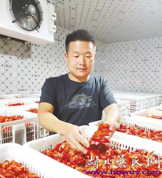 荊州放曹坡水產(chǎn)生物科技有限公司總經(jīng)理吳涵——做大龍蝦產(chǎn)業(yè) 助力鄉(xiāng)村振興 荊州放曹坡水產(chǎn)生物科技有限公司總經(jīng)理吳涵——做大龍蝦產(chǎn)業(yè) 助力鄉(xiāng)村振興