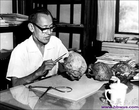 當(dāng)代吳氏名流(59)    ——記吳汝康院士