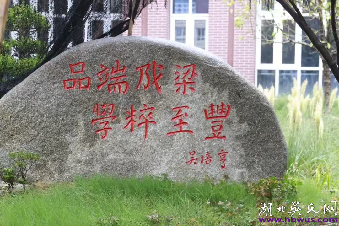 1726447287116614.jpg 1726447287116614.jpg