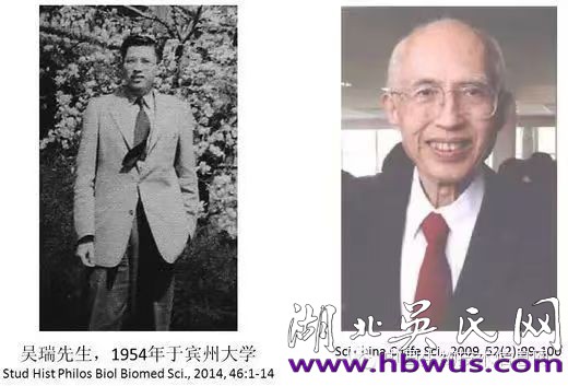 1730548400156945.jpg d7b421391f1e64165653532e72fd1ff.jpg