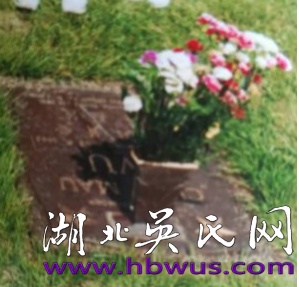 大別山地區(qū)始遷祖吳萬七支系歷代名人簡述之九