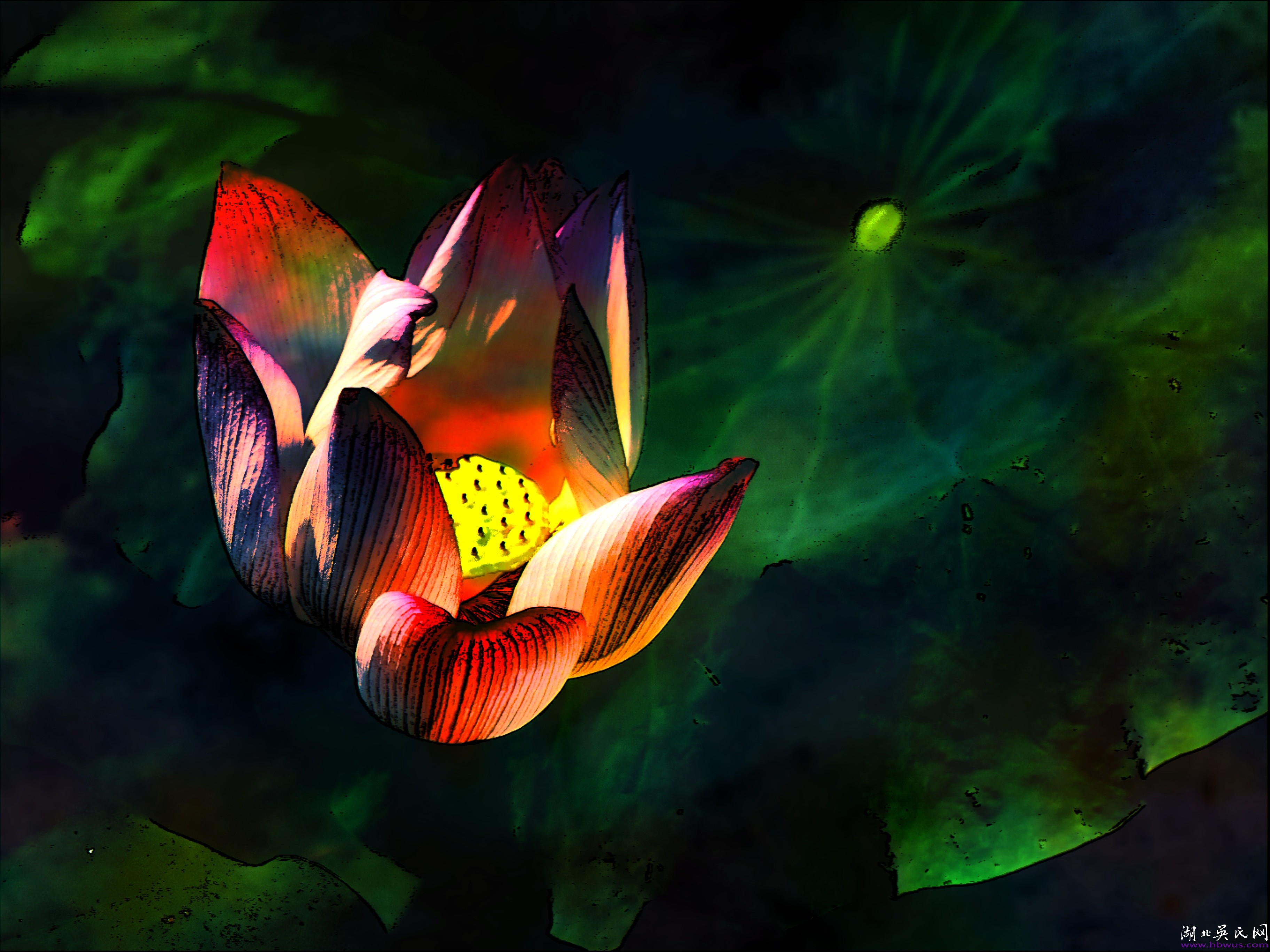 魯戰(zhàn)平先生書(shū)畫(huà)攝影作品鑒賞 魯戰(zhàn)平先生書(shū)畫(huà)攝影作品鑒賞