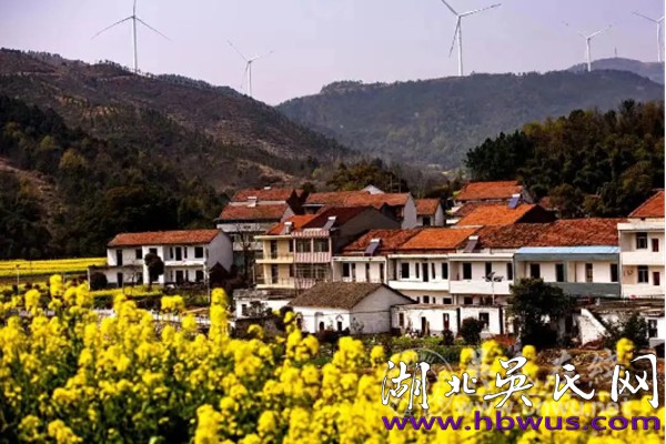 我為革命烈士吳定云尋根上譜