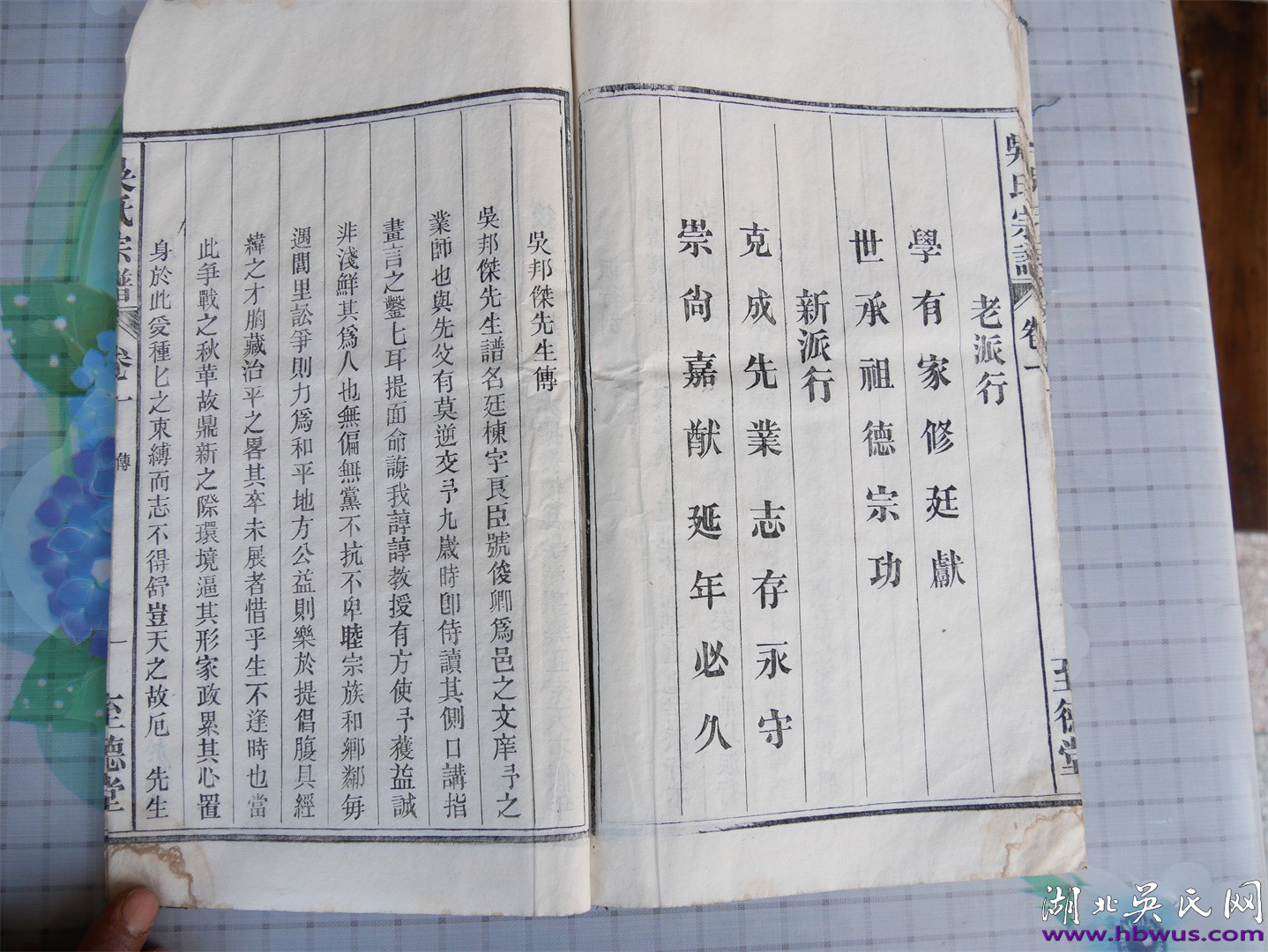 1747097648160202.jpg 1747097648160202.jpg