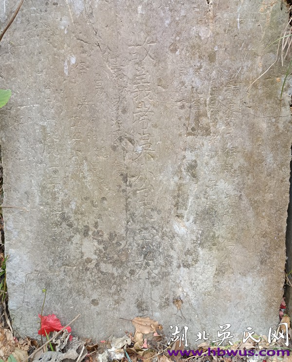 我為革命烈士吳定云尋根上譜